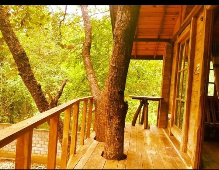 Luxury Tree House Villa Kibissa Exterior foto