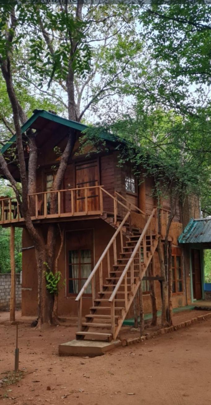 Luxury Tree House Villa Kibissa Exterior foto