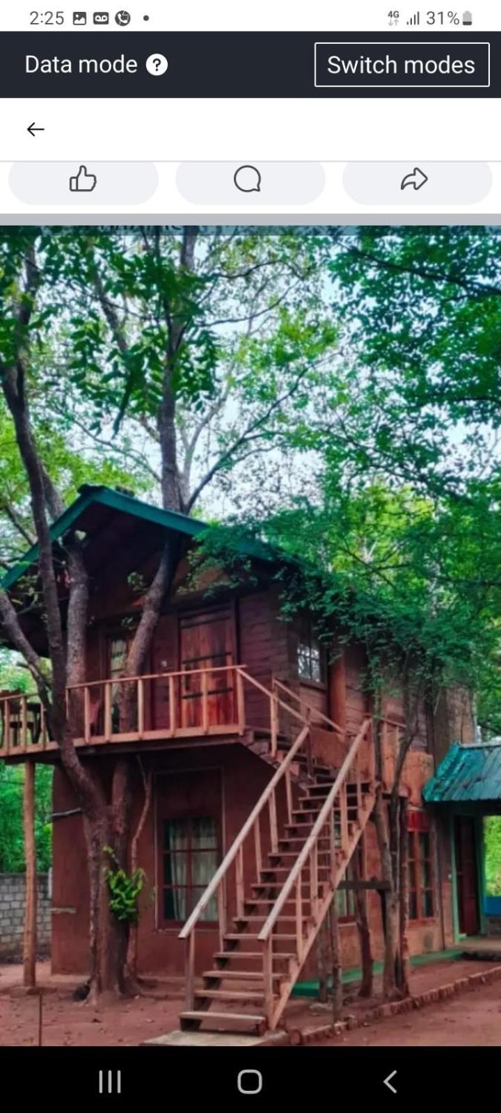 Luxury Tree House Villa Kibissa Exterior foto